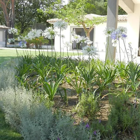 Domaine La Cigale Villa