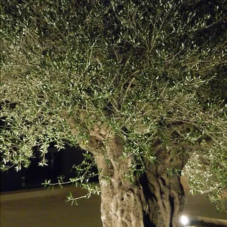 Βίλα Domaine La Cigale