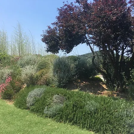 Domaine La Cigale Villa *